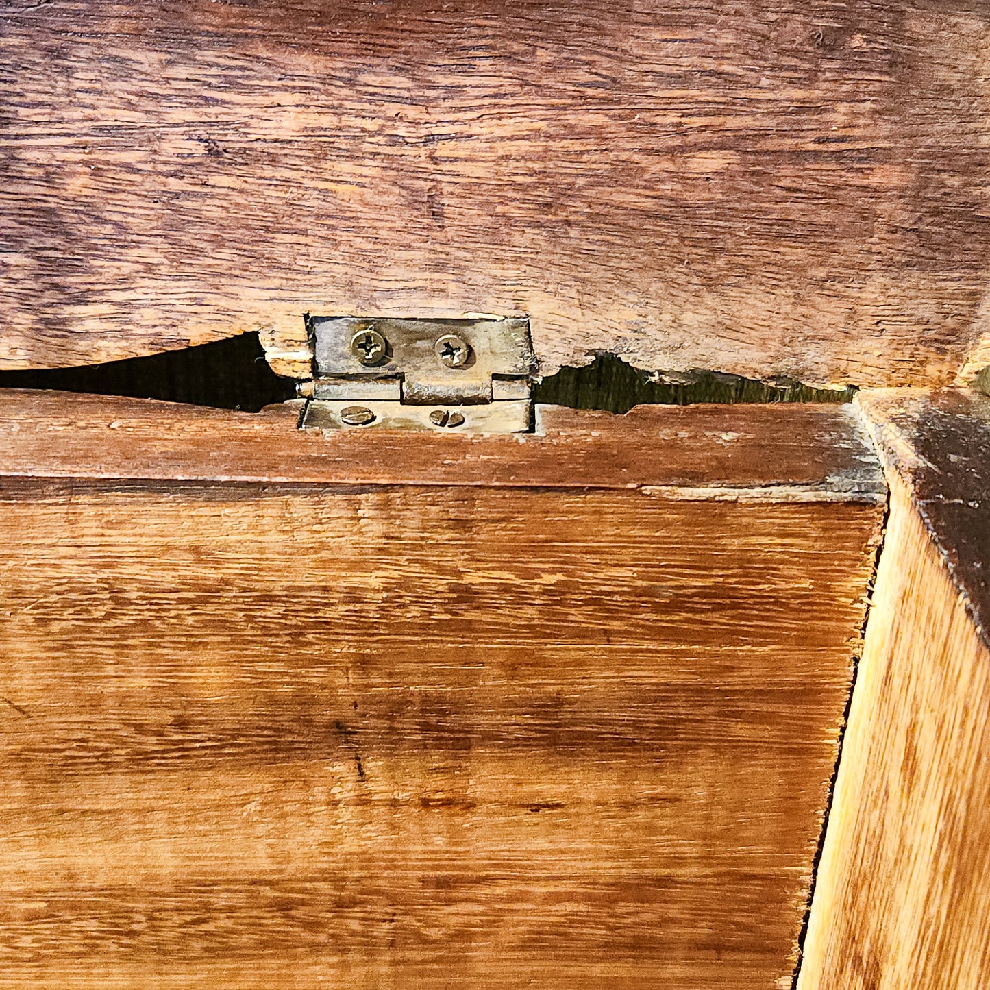 Vintage Hand-Carved Wood Keepsake Trunk – Bas-Relief Figural Scene with Dog – Artisan Handcrafted Memory Chest – Boho Global Decor